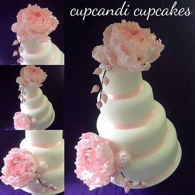 Pink peonies  - Cake by Cupcandi Cupcakes