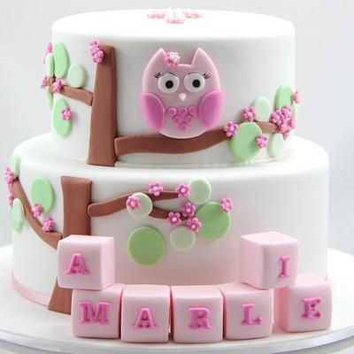 Pink Owl Christening - Cake by Jo Kavanagh