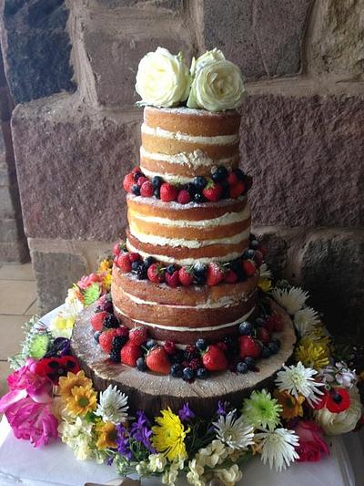 Naked Wedding Cake - Cake by Daniela