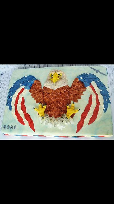 Air Force Sheet Cake - Cake by Suzie Wilcox