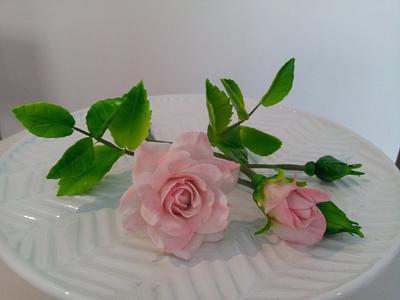 Little delicate roses and buds ... - Cake by Bistra Dean 