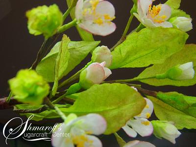 Wafer paper Blossom - Hello Spring - Cake by Petya Shmarova