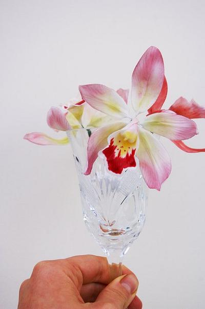 cymbidium orchids - gumpaste - Cake by Nadya