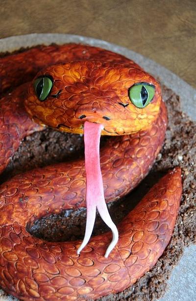 Snakes alive! - Cake by Trickycakes