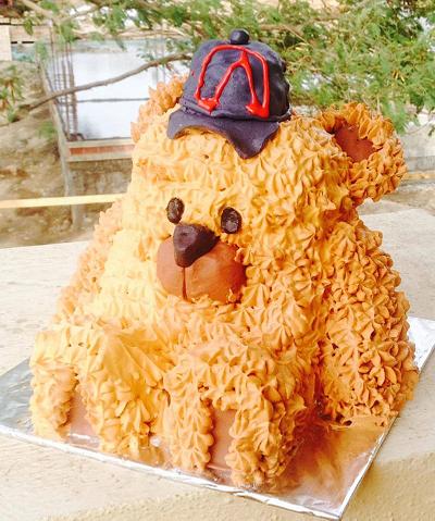 The teddy cake - Cake by onceuponacake3