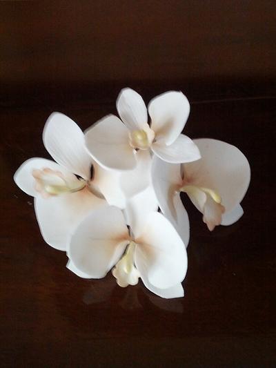 Orchid - sugar flower - Cake by Federica Sampò 