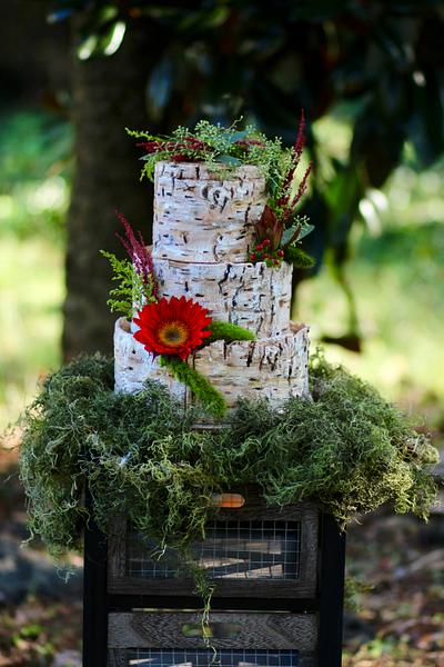 Birch Tree Wedding Cake - Cake by QuilliansGrill