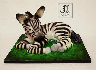 Carved Cake Baby Zebra - Cake by JT Cakes
