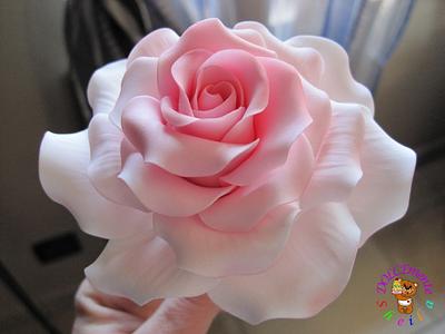 Rose - Cake by Sheila Laura Gallo