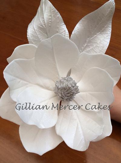 Magnolia flower - Cake by Gillian mercer cakes 