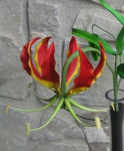 Gloriosa or Flame Lily - Cake by James V. McLean