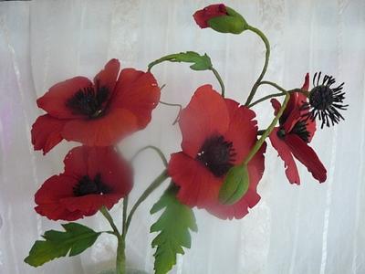 poppies - Cake by gail