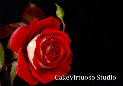 Sugar two tones rose with foliage - for my Mum - Cake by Natasha Ananyeva (CakeVirtuoso Studio)