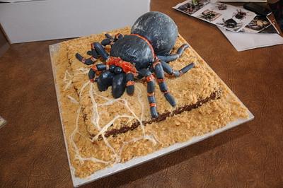 Tarantula - Cake by Trickycakes