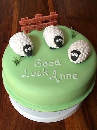 Sheep cake - Cake by Paul Kirkby
