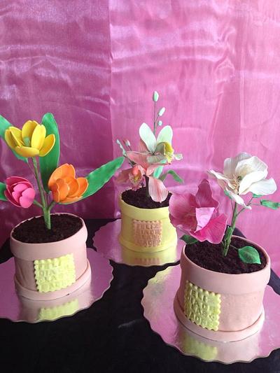 Flower Pot - Cake by Millie