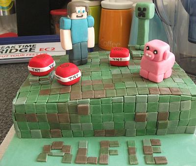 Minecraft Cake - Cake by Sonia Eddy