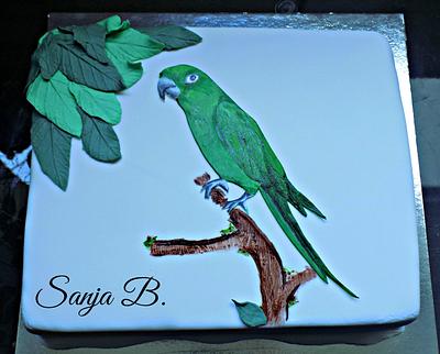 Parrot cake - Cake by Sanja 