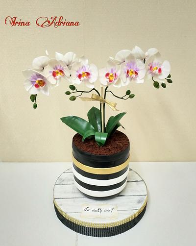 Orchid Pot  Cake - Cake by Irina-Adriana