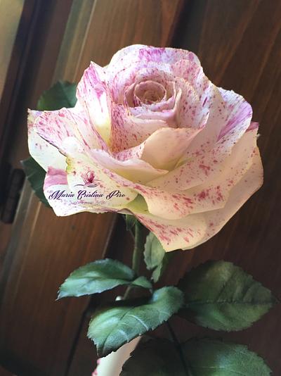 My new Rose...Sugarflowers  - Cake by Piro Maria Cristina