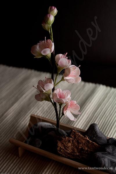 Cherry blossom - Cake by Bianca