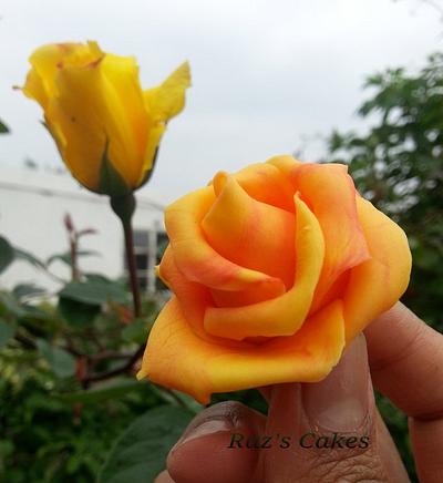 Yellow/Red  icing Rose  - Cake by RazsCakes