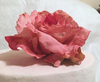 Roses - Cake by DinaDiana