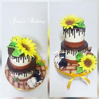 Drip cake  - Cake by Jana Bleeker-Antoninova