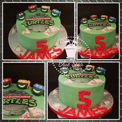 Teenage Mutant Ninja Turtles Birthday Cake - Cake by Shelley BlueStarBakes