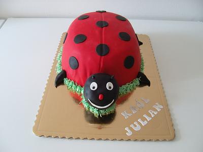 Ladybird cake - Cake by KamilM