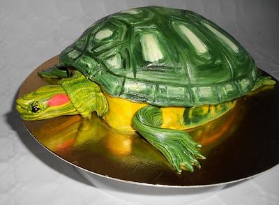 Tortoise: Red-eared slider - Cake by Petra Boruvkova