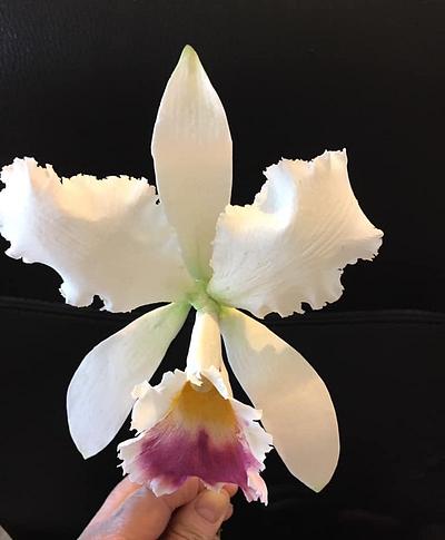 Cattleya orchid - Cake by DollysSugarArt