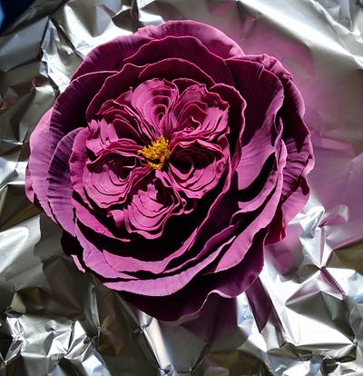 Plum English rose - Cake by Ruth - Gatoandcake