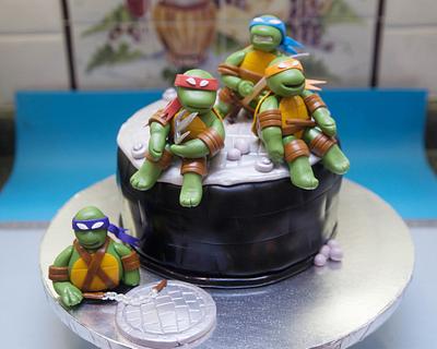 Teenage Mutant Ninja Turtles Cake - Cake by 1stShirt
