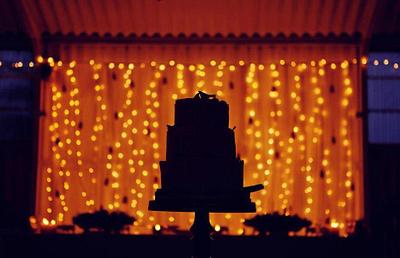 Wedding cake - Cake by Devine Delicacies By Denise