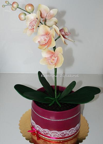 Orchid in flowerpot cake - Cake by katarina139