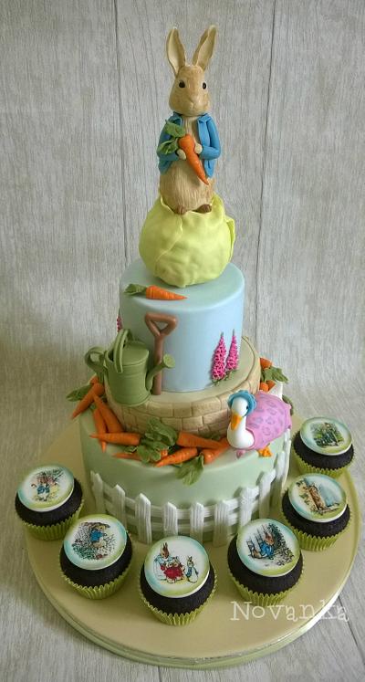 Peter Rabbit - Cake by Novanka