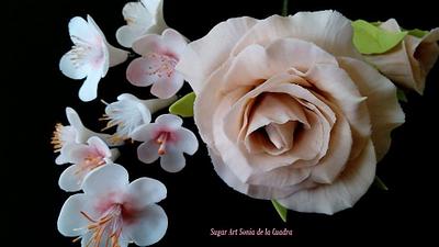 Rose and cherry blossoms - Cake by Sonia de la Cuadra