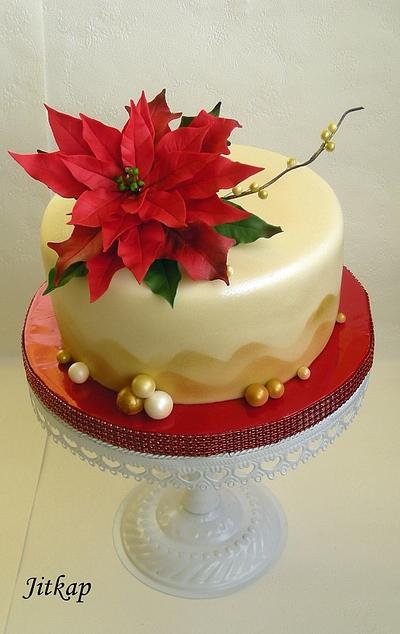 Vánoční hvězda - Cake by Jitkap