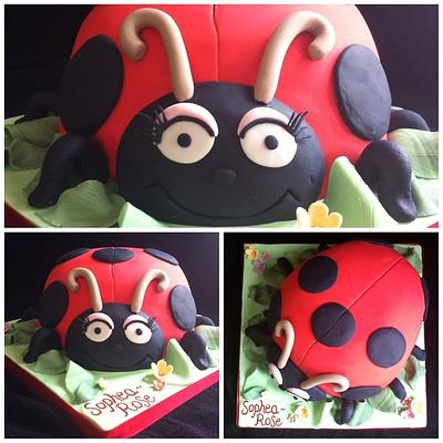 ladybird birthday cake - Cake by LouisesCakeaway