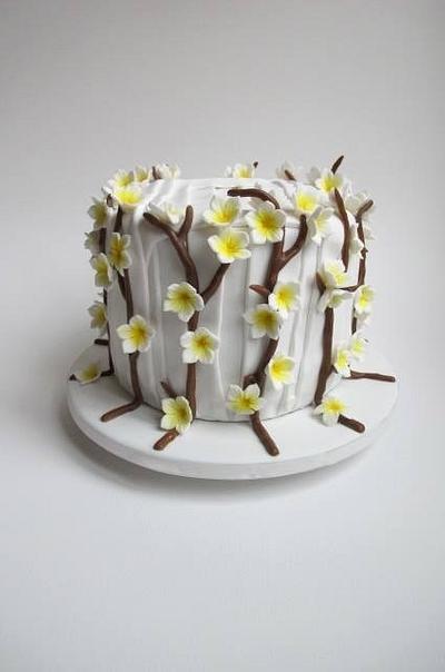 Spring cake  - Cake by Raquel Casero Losa