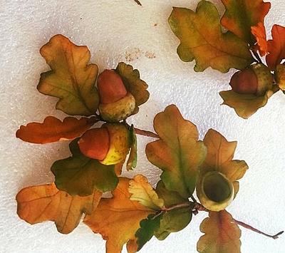 Oak leaves and acorns - Cake by Ele Lancaster