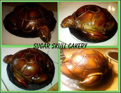 Turtle Cake - Cake by Shey Jimenez