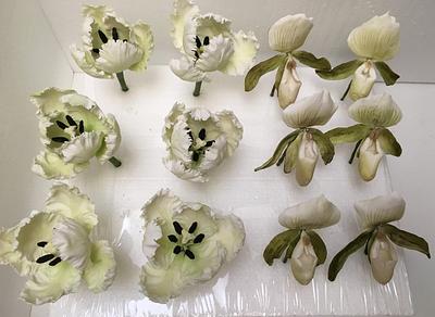 Sugar Parrot Tulips and Lady Slippers - Cake by DollysSugarArt