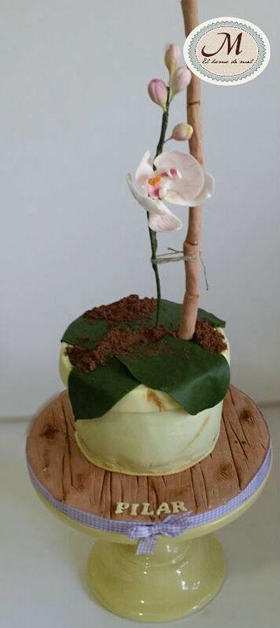 ORCHID POT - Cake by MELBISES