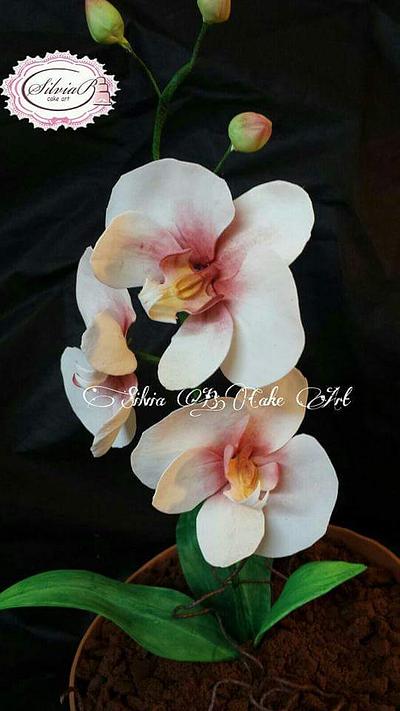 Orchid vase - Cake by silvia B.cake art