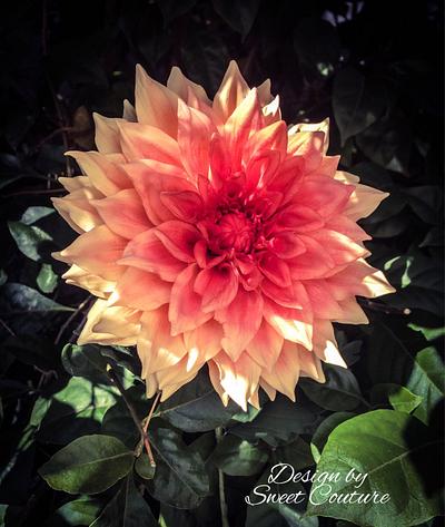 My sugar dahlia. - Cake by Sweet Couture 