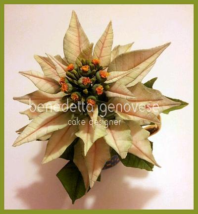 Pink Poinsettia - Cake by Benedetta Genovese