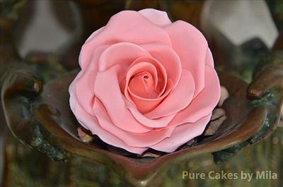 Rose - Cake by Mila - Pure Cakes by Mila