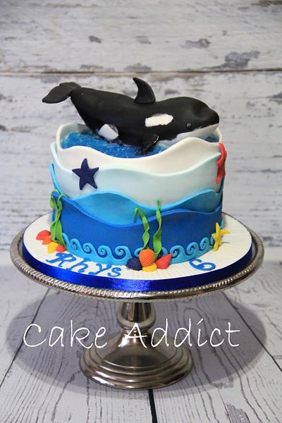 Killer whale cake - Cake by Cake Addict